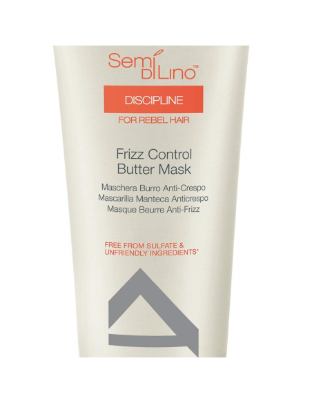 Alfaparf Discipline Frizz Control Butter Mask 200ml - TheBeautyCool